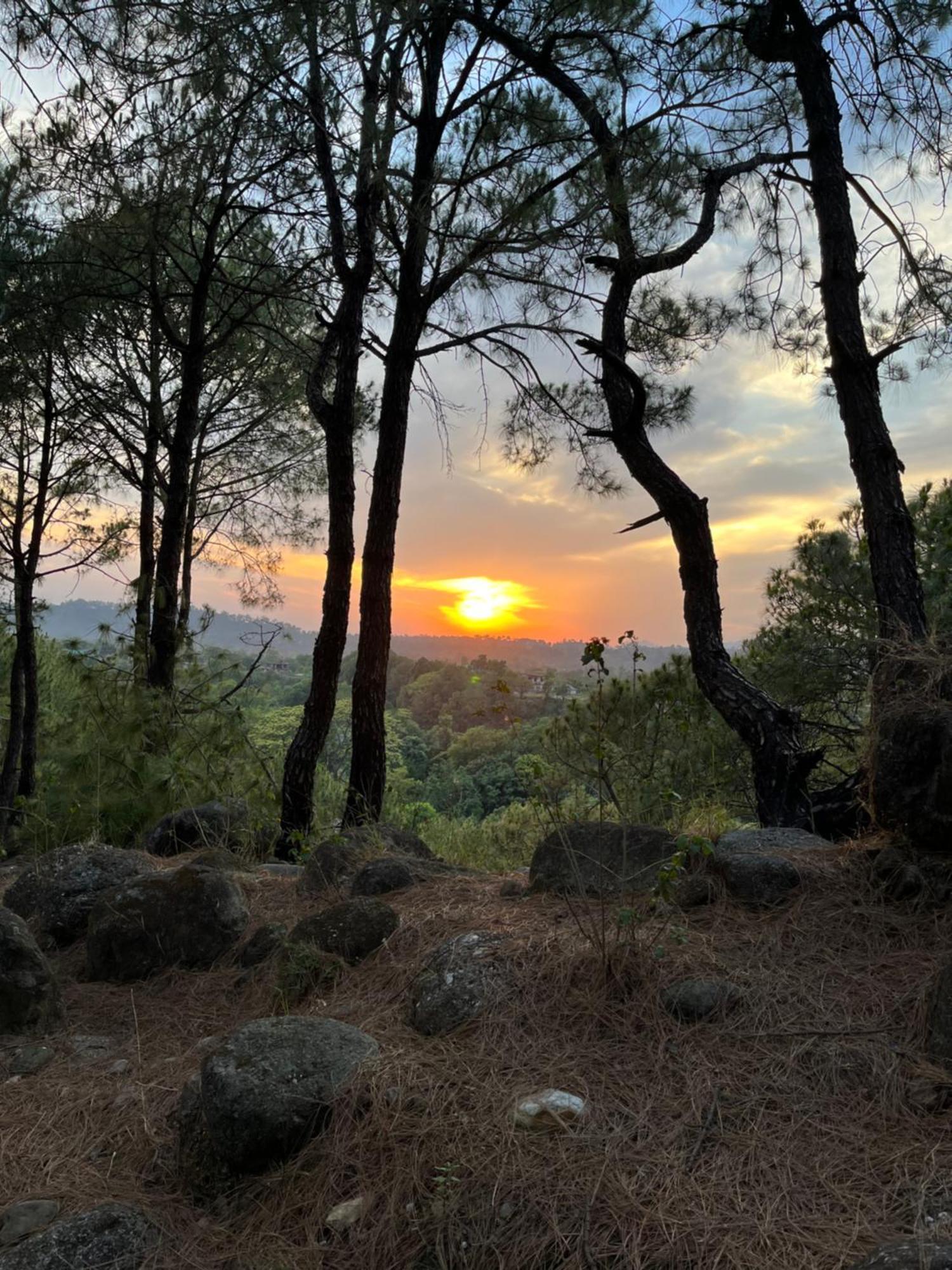 Prakriti Aalay - Riverside Mountain View Boutique Eco Resort ดารัมซาลา ภายนอก รูปภาพ